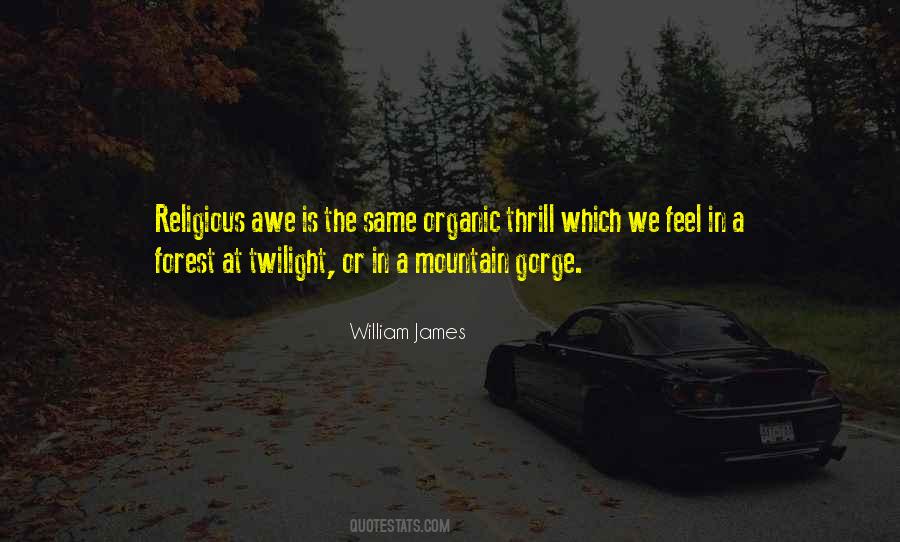 Mountain And Forest Quotes #367881
