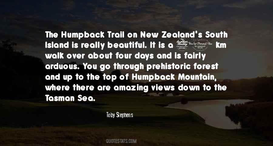 Mountain And Forest Quotes #403662