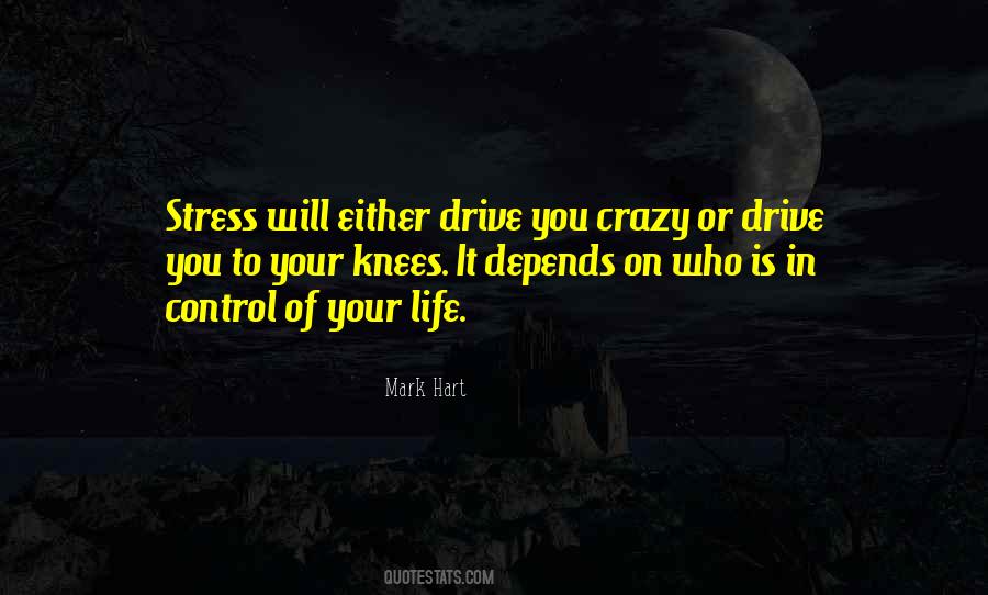 Drive You Crazy Quotes #740388