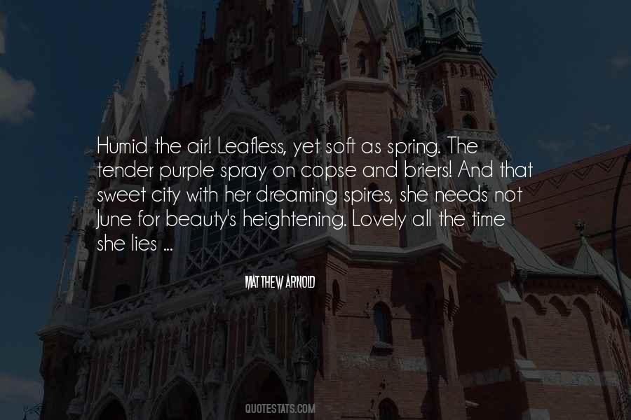 Soft Beauty Quotes #1360374