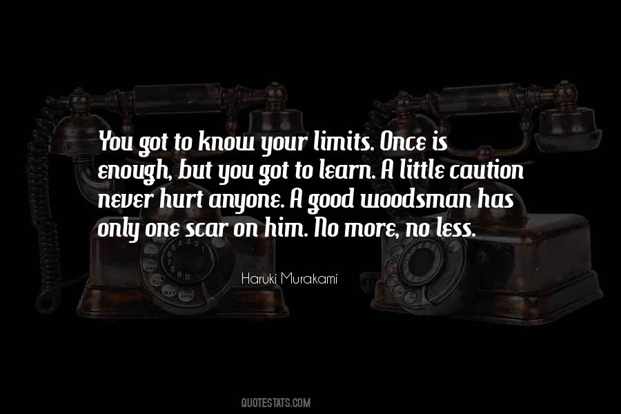 I Will Never Be Good Enough For Anyone Quotes #1256915