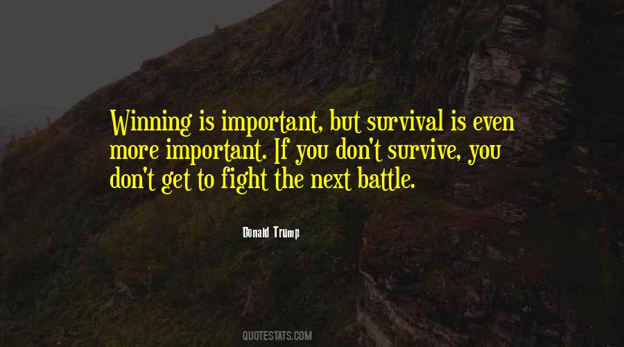 Important To Fight Quotes #991910