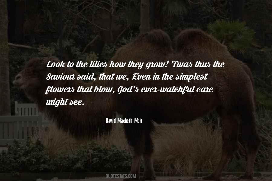 God Flowers Quotes #1575247