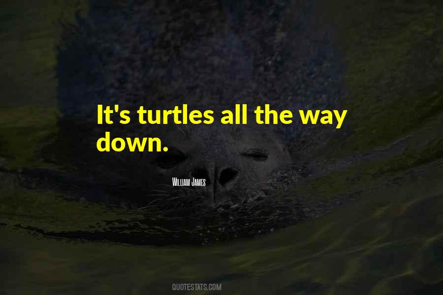 Its Turtles All The Way Down Quotes #1744086
