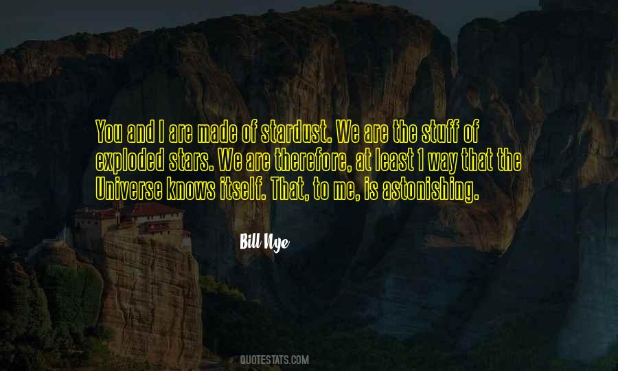 We Are All Made From Stardust Quotes #588307