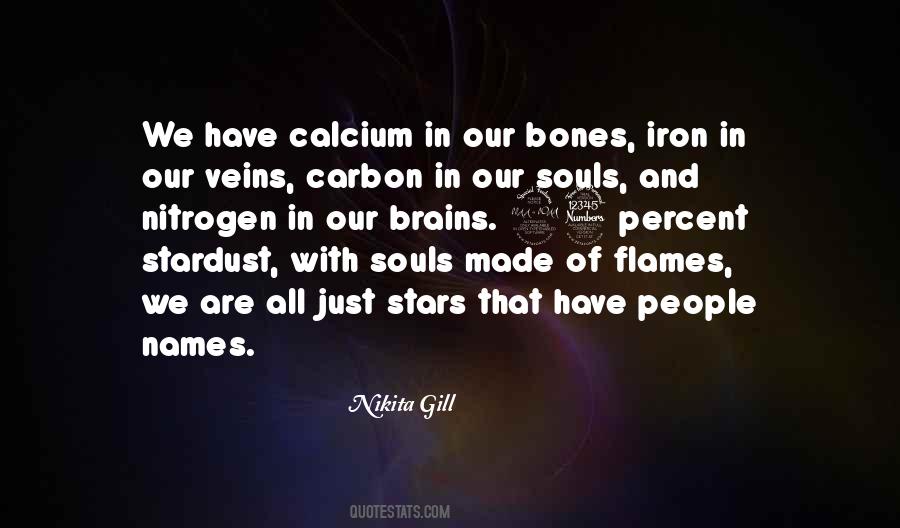 We Are All Made From Stardust Quotes #842482