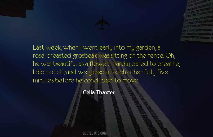 Sitting On A Fence Quotes #252835