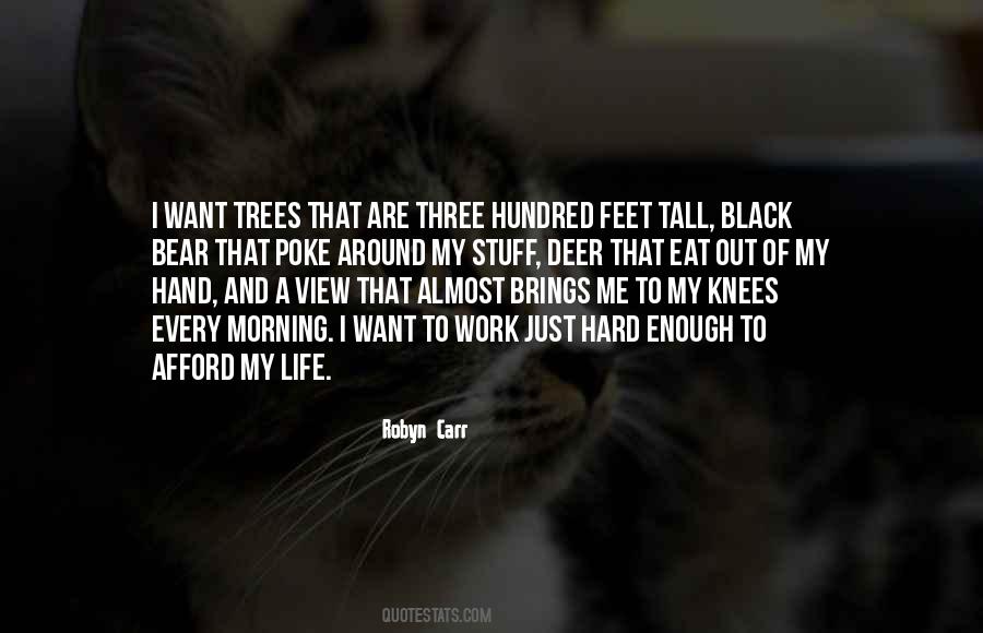 My Morning View Quotes #1648585