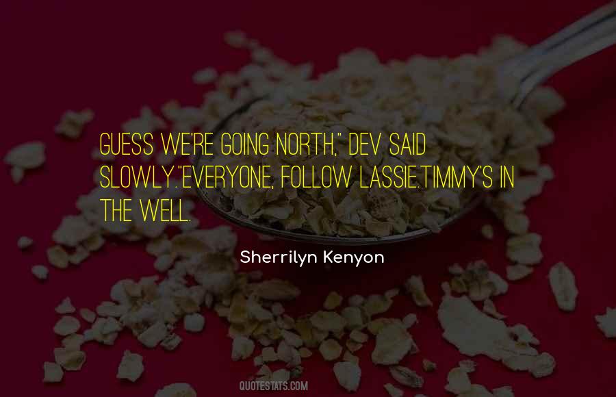 Dev Quotes #1511700