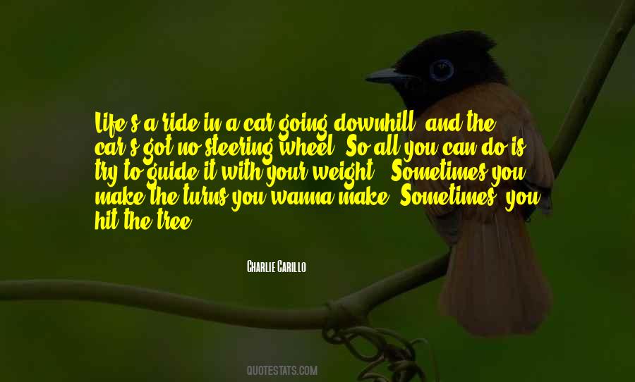 Downhill Ride Quotes #473566 Downhill Ride Quotes #473566