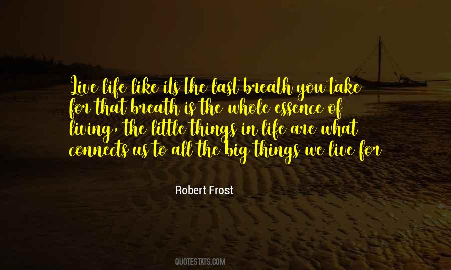 Little Things Are Big Quotes #1551948