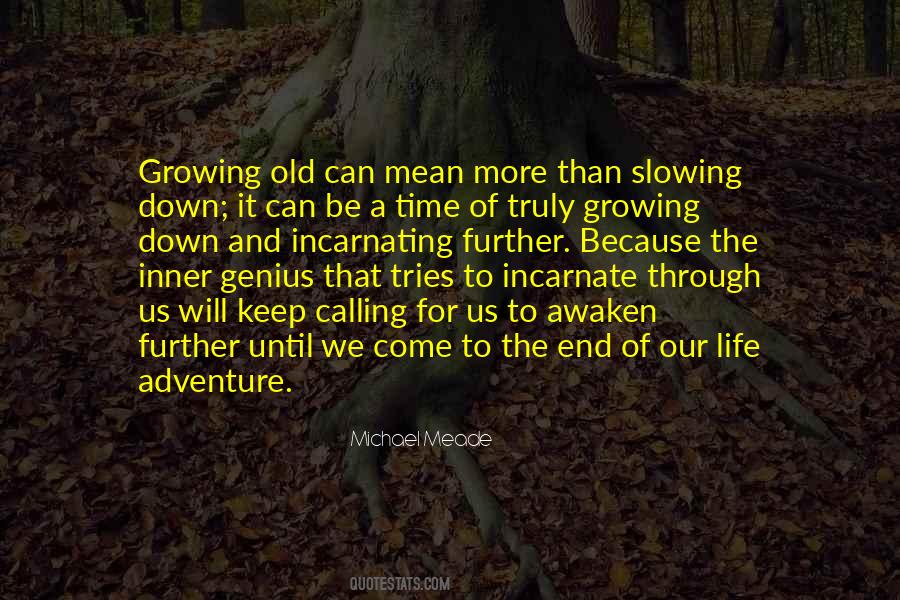 Quotes About Life Slowing Down #821389