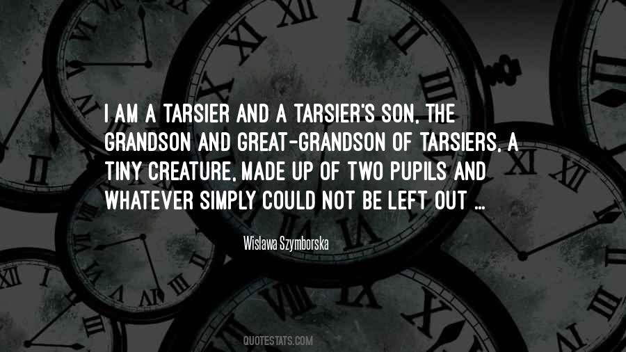Son Grandson Quotes #1586842