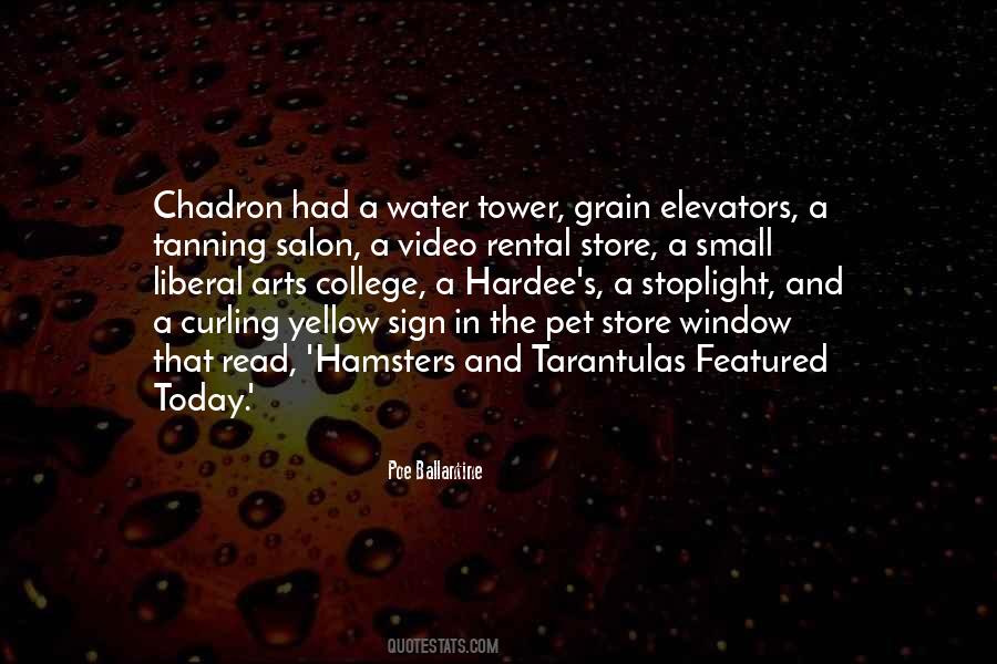 Self Tanning Quotes #1346561