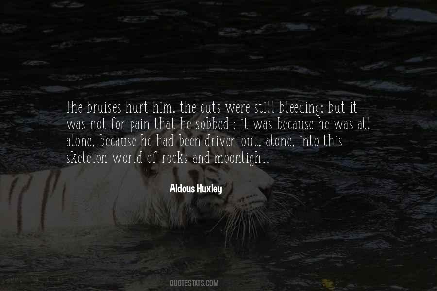 Were All Alone Quotes #1807462