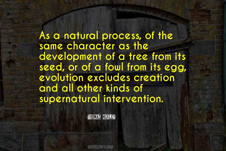 Character Creation Quotes #1644557