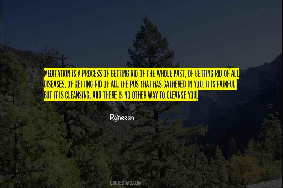 Who Says The Skys The Limit Quotes #347718