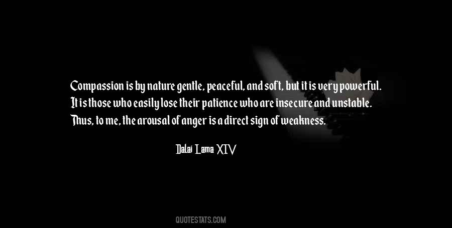 Patience And Compassion Quotes #664823