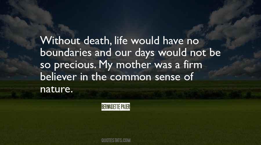 Not A Mother Quotes #707034