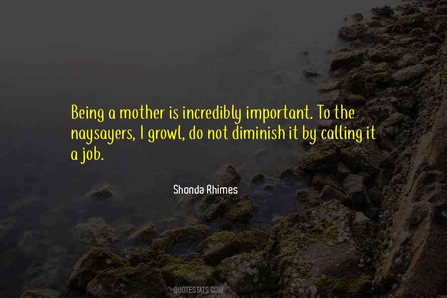 Not A Mother Quotes #793973