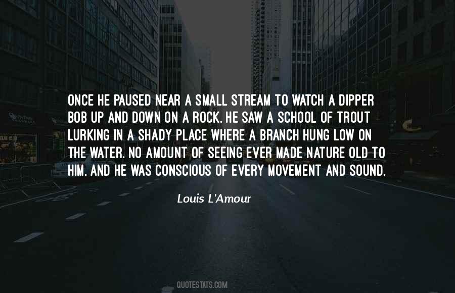 Seeing Water Quotes #344299