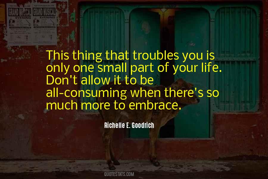 There Is So Much More To Life Quotes #831946