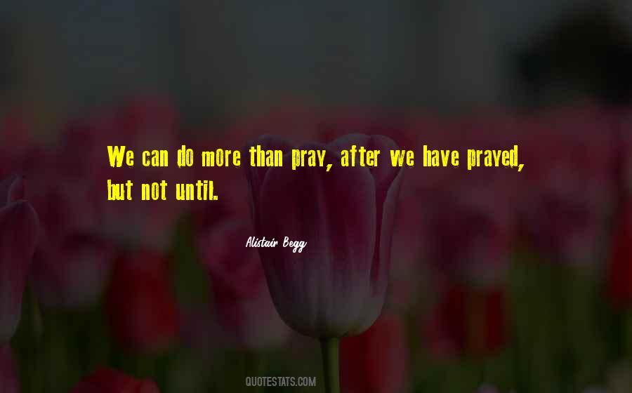 We Can Do More Quotes #552743
