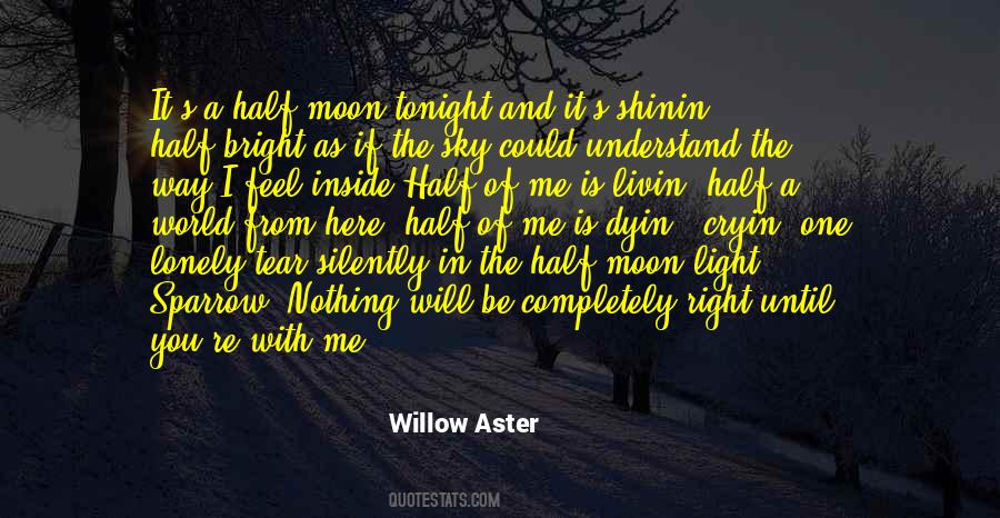 Moon Tonight Quotes #764342