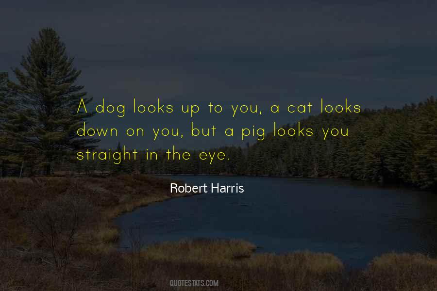 Dog Eye Quotes #1710269