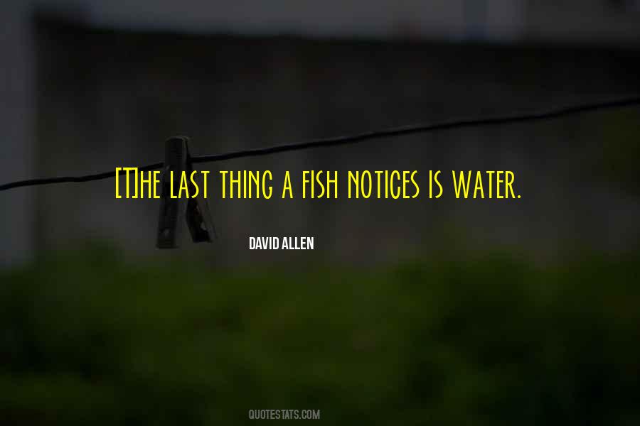 Fish Where The Fish Are Quotes #9251
