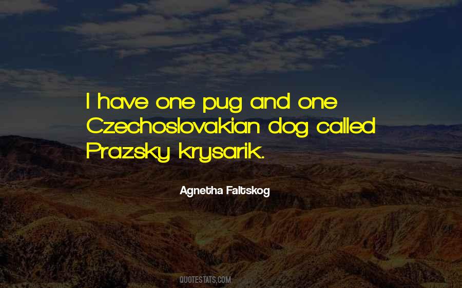 Dog Dog Quotes #130802