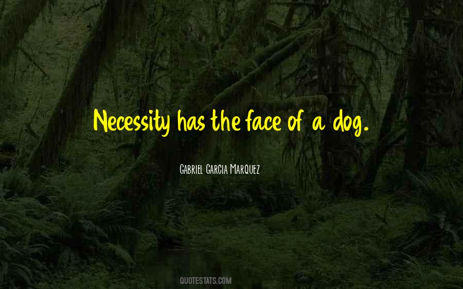 Dog Dog Quotes #62202