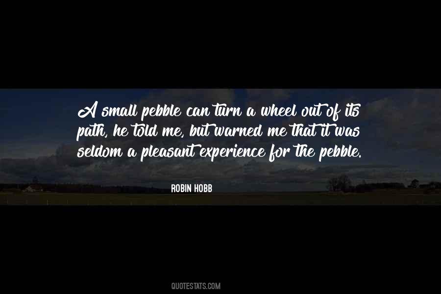 Small Pebble Quotes #131434