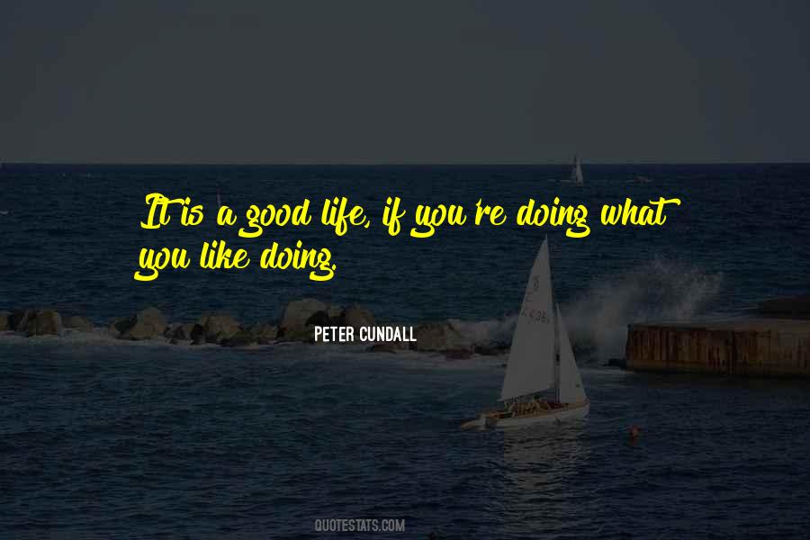 What You Like Doing Quotes #1807156