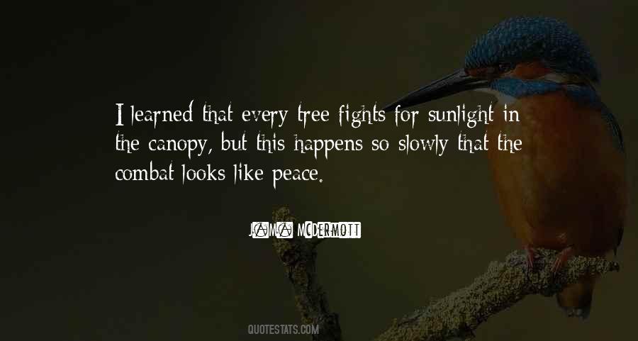 Every Tree Quotes #736732