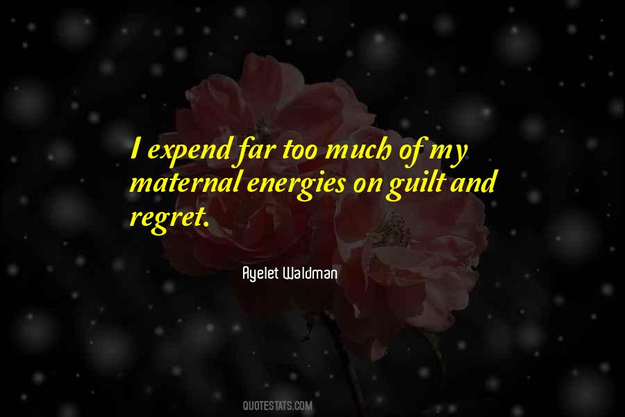 Guilt Regret Quotes #381231