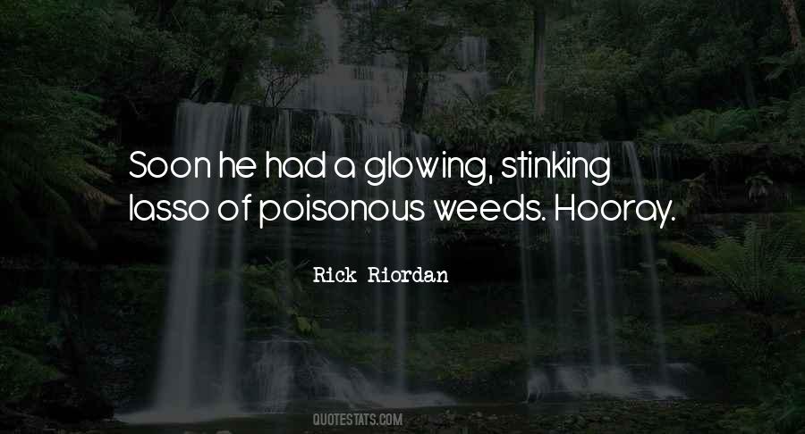 Diamond Grill Quotes #299523