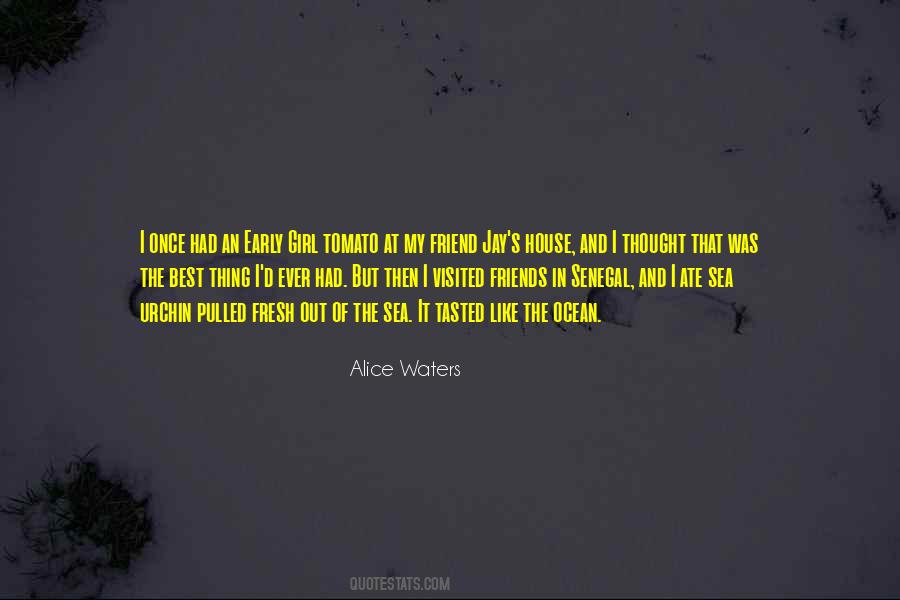 Fresh Like Quotes #1281882