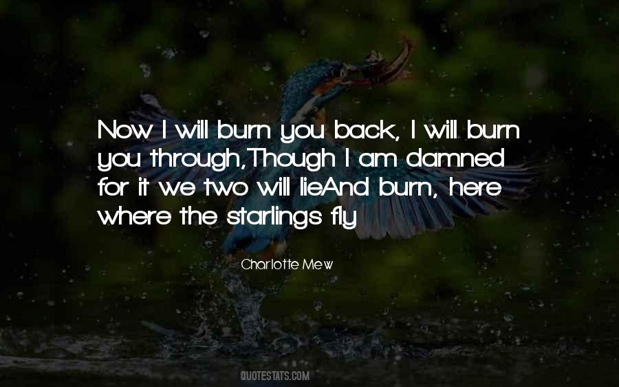 I Love Where I Am Quotes #1538709
