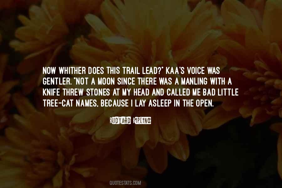 Video Gamer Girl Quotes #159539