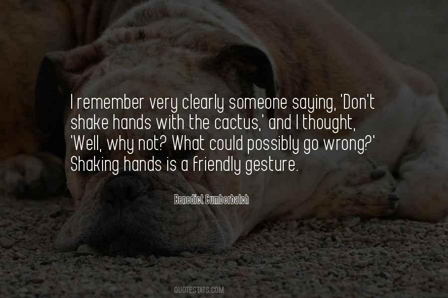 What Could Possibly Go Wrong Quotes #1703719