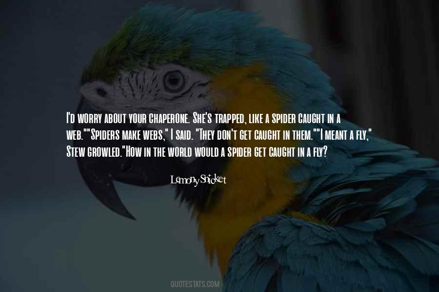 Spider To The Fly Quotes #754489