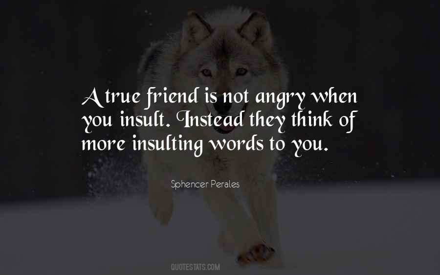 When Your Best Friend Is Angry Quotes #1809575