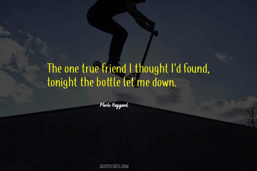 No Words Can Describe Our Friendship Quotes #1556306