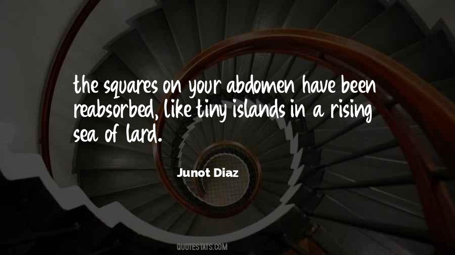 Diaz Quotes #44070