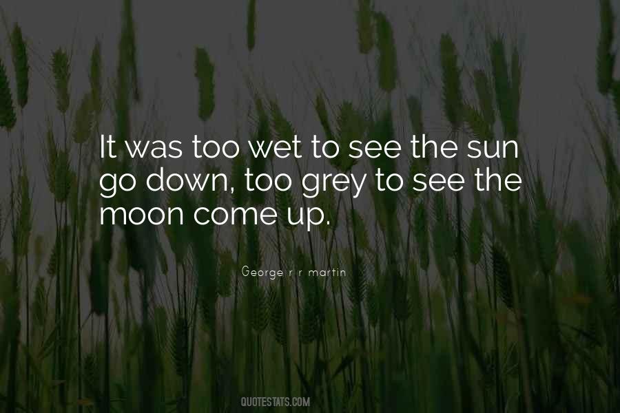 As The Sun Goes Down Quotes #87640