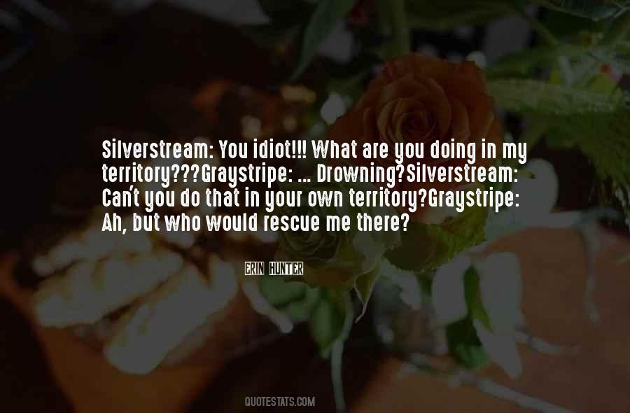 Quotes About Doing What You Can Do #160079