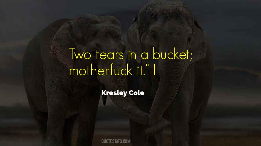 2 Tears In A Bucket Quotes #713283
