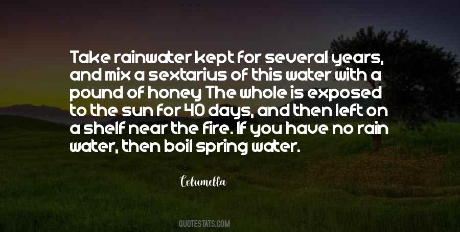 Sun Or Rain Quotes #1164339