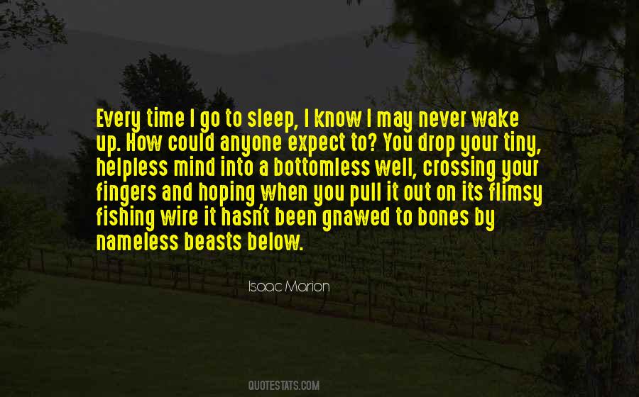 Crossing Your Mind Quotes #1065178